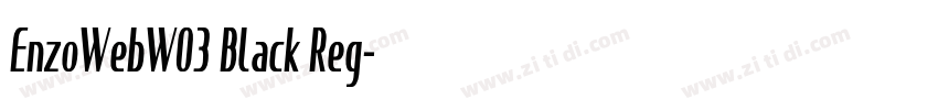 EnzoWebW03 Black Reg字体转换
